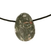 Crinoid fossiel in Marmer (Australië) doorboord inclusief koord