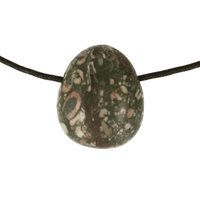 Crinoid fossiel in Marmer (Australië) doorboord inclusief koord