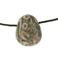 Crinoid fossiel in Marmer (Australië) doorboord inclusief koord