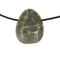 Crinoid fossiel in Marmer (Australië) doorboord inclusief koord