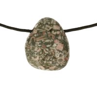 Crinoid fossiel in Marmer (Australië) doorboord inclusief koord