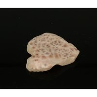 Natroliet Roze uit Indonesië (Rhodatroliet)