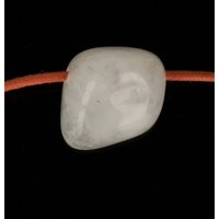 Sneeuwkwarts doorboord inclusief koord