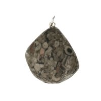 Crinoid fossiel in Marmer (Australië) 