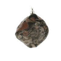 Crinoid fossiel in Marmer (Australië) 