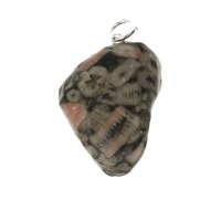 Crinoid fossiel in Marmer (Australië) 