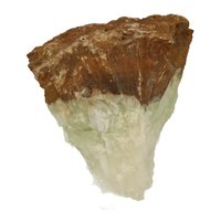 Calciet uit Bosnië 