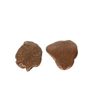 Koper nuggets uit Michigan in de U.S.A 2 stuks