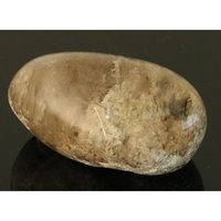 Lodoliet sjamaankriatal lemurian