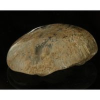 Lodoliet sjamaankriatal lemurian