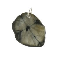 Kruissteen Chiastholiet