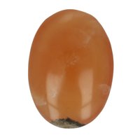 Honing calsiet knuffel