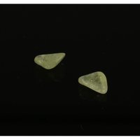 Brazialiniet (2 stuks)