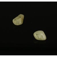 Brazialiniet (2 stuks)