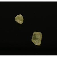 Brazialiniet (2 stuks)