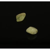 Brazialiniet (2 stuks)