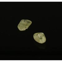 Brazialiniet (2 stuks)