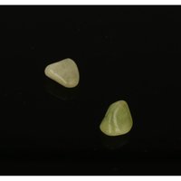 Brazialiniet (2 stuks)