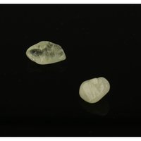 Brazialiniet (2 stuks)