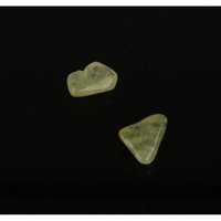 Brazialiniet (2 stuks)