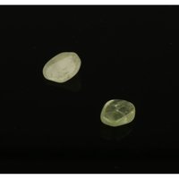 Brazialiniet (2 stuks)