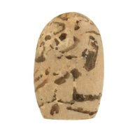 Zebradoriet graphic rookkwarts in veldspaat