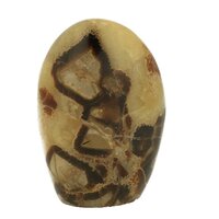 Septarie sjamaansteen