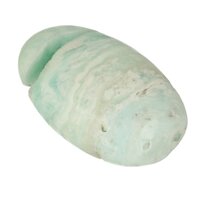 Caribbean Blue Aragoniet 