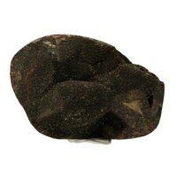 Septarie sjamaansteen