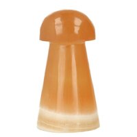 Honing calsiet paddestoel