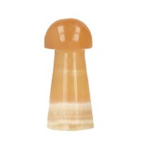 Honing calsiet paddestoel