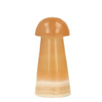 Honing calsiet paddestoel