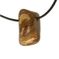 Versteend hout opaal doorboord incl koord