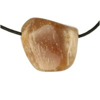 Versteend hout opaal doorboord incl koord