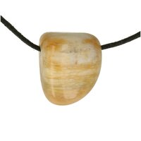 Versteend hout opaal doorboord incl koord