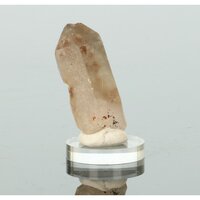 Rookkwarts met Rutiel