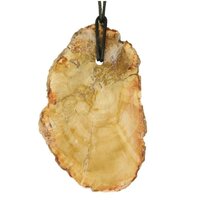 Versteend hout  doorboord incl koord