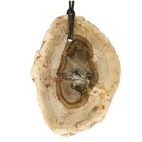 Versteend hout  doorboord incl koord