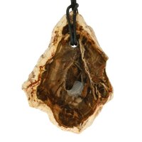 Versteend hout  doorboord incl koord