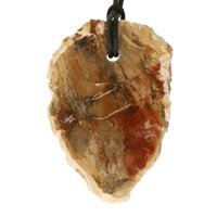 Versteend hout  doorboord incl koord