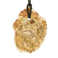 Versteend hout  doorboord incl koord