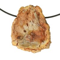 Versteend hout  doorboord incl koord