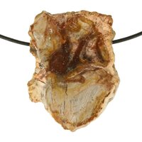 Versteend hout  doorboord incl koord