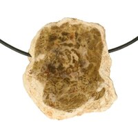 Versteend hout  doorboord incl koord