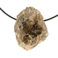 Versteend hout  doorboord incl koord