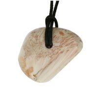 Scolosiet doorboord incl koord