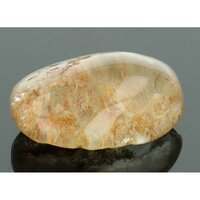 Lodoliet sjamaankriatal lemurian