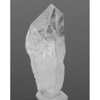 Silver Line Lemurian  uit Diamantina