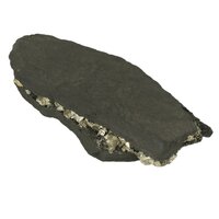 Git met Pyriet, Bahia, Brazilië