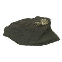 Git met Pyriet, Bahia, Brazilië